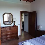 Leccino E Moraiolo * Siena