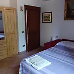 Leccino E Moraiolo * Siena