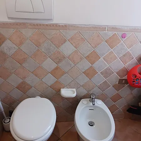 Leccino E Moraiolo * Siena