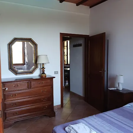 Leccino E Moraiolo * Siena