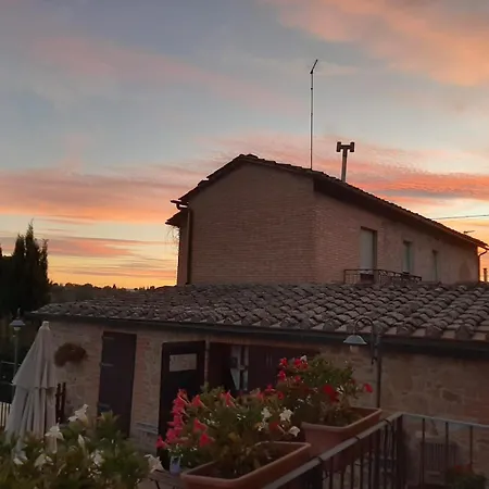 Leccino E Moraiolo *