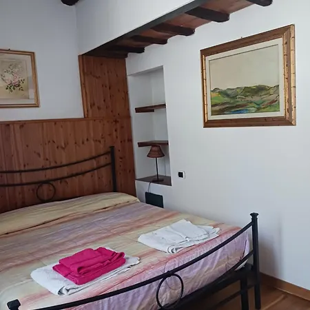 Leccino E Moraiolo * Siena