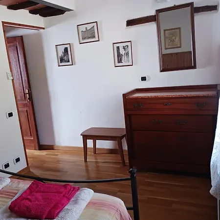 Leccino E Moraiolo *