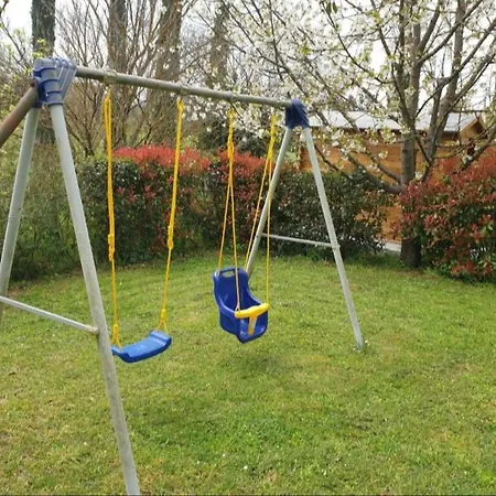 Leccino E Moraiolo Siena