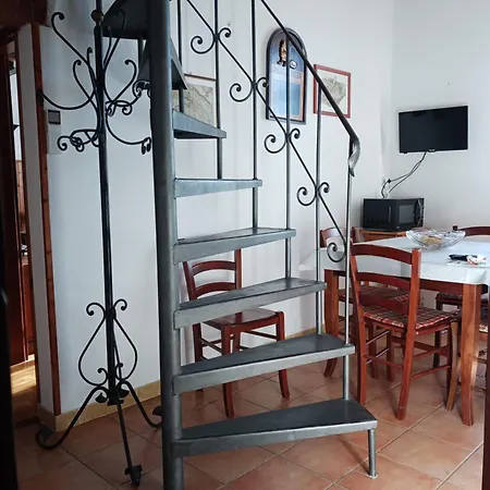 Leccino E Moraiolo * Siena