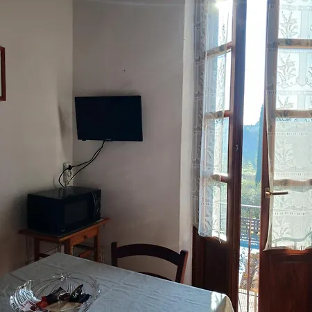 Leccino E Moraiolo * Siena