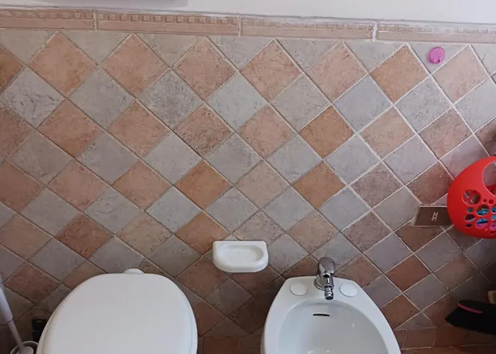 Leccino E Moraiolo * Сиена