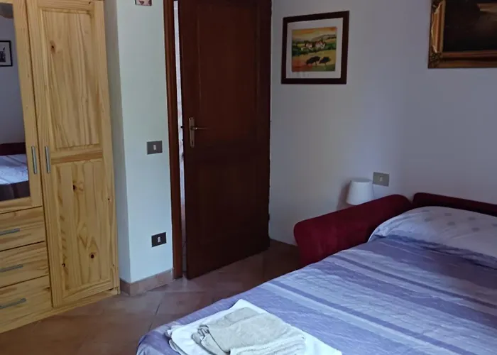 Leccino E Moraiolo * 锡耶纳