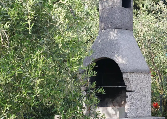 Leccino E Moraiolo *