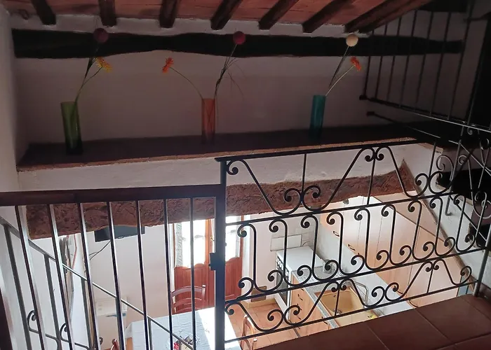 Leccino E Moraiolo Siena