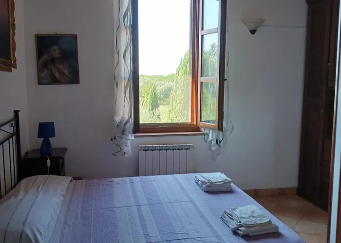 Leccino E Moraiolo Siena