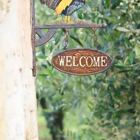 Leccino E Moraiolo Lejlighed *