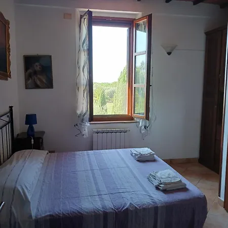 Leccino E Moraiolo Siena