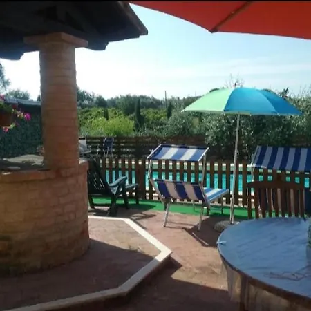 Leccino E Moraiolo *