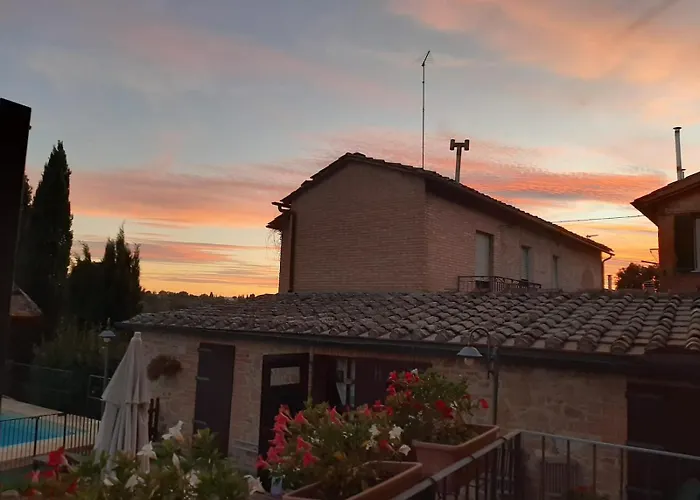 Leccino E Moraiolo *