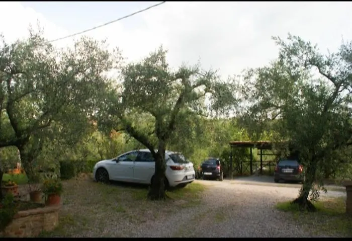 Leccino E Moraiolo סיינה