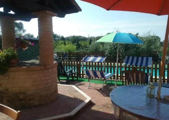 Leccino E Moraiolo *